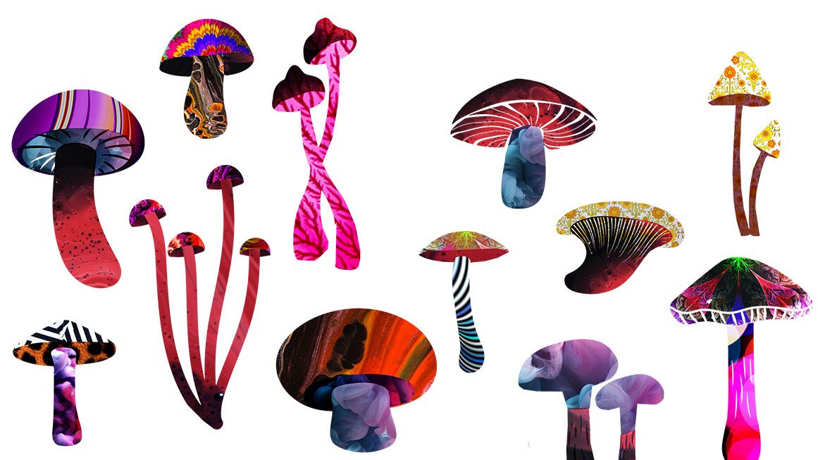 shroomriggsheader | Illustration: Joanna Andreasson