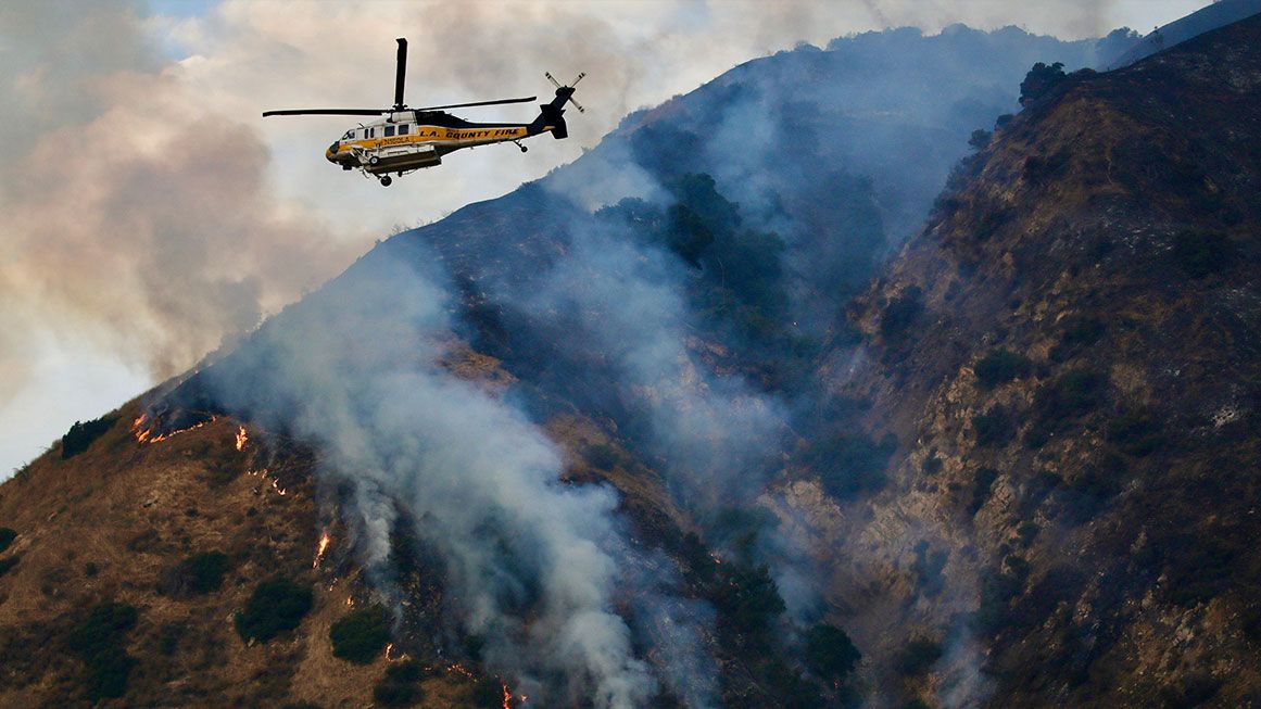 Watkins | Photo: Irfan Khan/Los Angeles Times/Getty