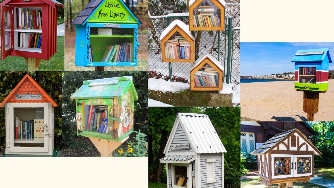 feature_Little--Libraries,--Free-at-Last-