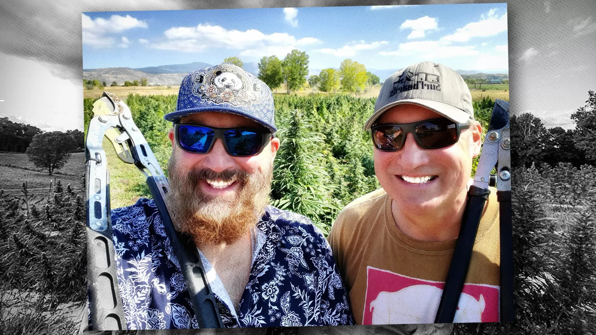 Police Allegedly Destroyed ,000 of Legal Hemp. Georgia’s Supreme Court Just Upended 60 Years of Precedent