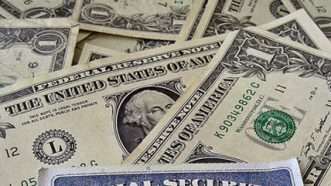 Large image on homepages | 401k-2013-cc-by-sa