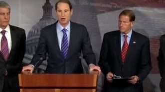 Large image on homepages | Via Ron Wyden's office