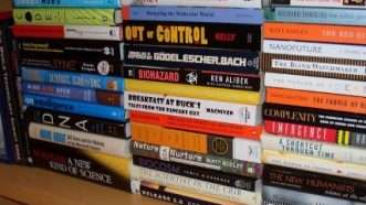 Large image on homepages | jurvetson / photo on flickr