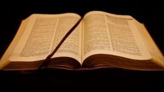 Large image on homepages | Credit: Ryk Neethling