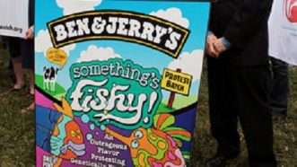 Large image on homepages | benjerry.com