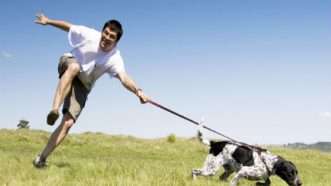 Large image on homepages | Dogs Online