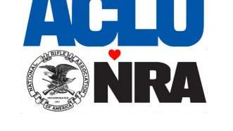 Large image on homepages | ACLU/NRA