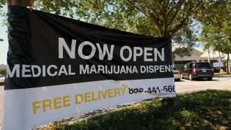 Florida-MMJ-dispensary-banner-Newscom