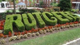 Rutgers_University_College_Avenue_campus_July_2016_Hedge_spells_out_Rutgers | Tomwsulcer / Wikimedia Commons