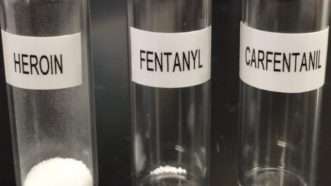 heroin-fentanyl-carfentanil-NH-state-drug-lab-big | New Hampshire State Police