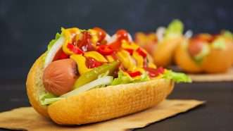 reason-hotdog | Oleg Liashenko/Dreamstime.com