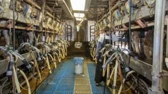 DairyMilker | Jim West/ZUMA Press/Newscom