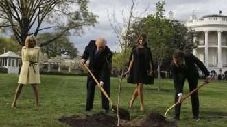 Trump getting a head start on a trillion trees | Oliver Contreras/Sipa USA/Newscom