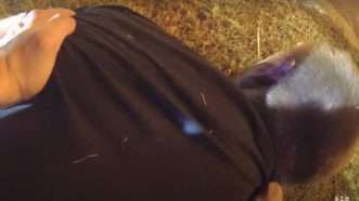 Tony-Timpa-body-camera-video-cropped | Dallas Police Department