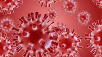 a magnified image of the COVID-19 virus | Yakobchuk/Dreamstime