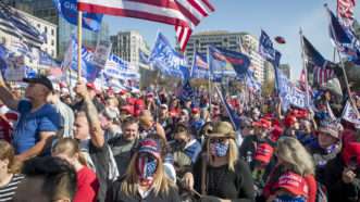 Trump-rally-11-14-20-Newscom | Rod Lamkey/CNP/Sipa USA/Newscom