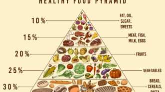 FoodPyramid | Illustration <a href="https://www.dreamstime.com/healthy-food-plan-pyramid-infographics-balanced-diet-percentage-lifestyle-concept-ingredients-meal-plan-healthy-food-plan-image158068506">158068506</a> © <a href="https://www.dreamstime.com/arthurbalitskiy_info" itemprop="author">Artur Balytskyi</a> - <a href="https://www.dreamstime.com/illustration/food-guide-pyramid.html">Dreamstime.com</a>
