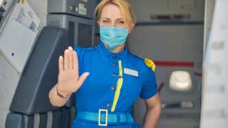 reason-flight attendant