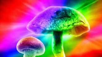 graphic symbolizing magic/psilocybin mushrooms