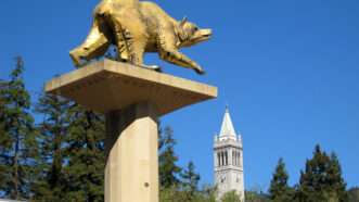 A statue of a bear on UC Berkeley's campus