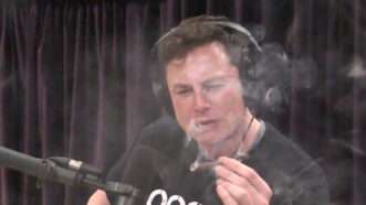 Elon Musk | Joe Rogan podcast