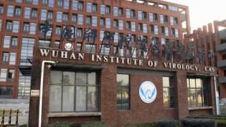 The Wuhan Institute of Virology in Wuhan, China