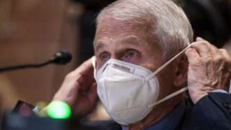 Anthony Fauci putting mask on | Shawn Thew - Pool via CNP/picture alliance / Consolidated News Photos/Newscom