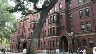 Matthews Hall, student dormitory at Harvard | Greger Ravik / Wikimedia Commons
