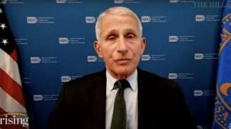 Anthony Fauci interviewed on Rising | Screenshot via YouTube