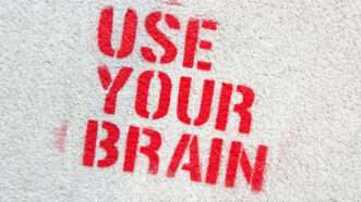 use your brain graffiti