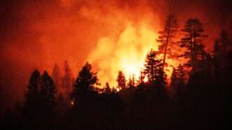 Wildfires in Yosemite National Park burning the trees..