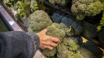 person in grocery store reaching for broccoli | Richard B. Levine/Newscom