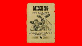 An old-fashioned wanted poster with two cows on it