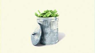 Stacks of money fill a silver trash can | Illustration: Lex Villena; Igor Zakharevich | Dreamstime.com