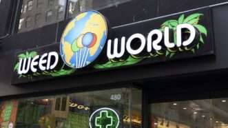 Weed World storefront in NYC