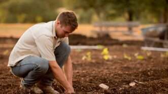 A farmer is seen planting pumpkins | Photo by <a href="https://unsplash.com/@jediahowen?utm_source=unsplash&utm_medium=referral&utm_content=creditCopyText">Jed Owen</a> on <a href="https://unsplash.com/s/photos/farmer?utm_source=unsplash&utm_medium=referral&utm_content=creditCopyText">Unsplash</a> 