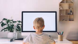 A boy in a gray shirt faces a computer monitor