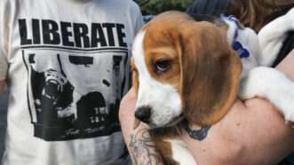 someone in a "liberate" t-shirt next to someone holding a puppy