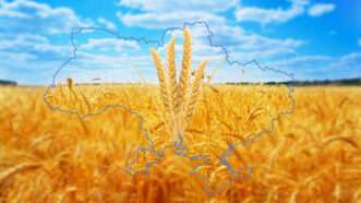 A wheat field below a blue sky, framed by the outline of Ukraine.