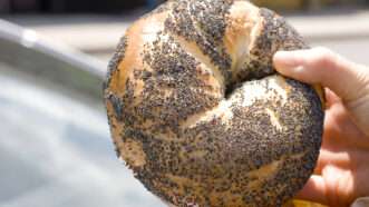 Poppy seed bagel | Jessica and Lon Binder/Flickr