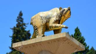 A golden statue of U.C. Berkley's mascot |  Sandra Foyt/Dreamstime.com