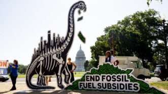 Protesters hold a large cutout of a dinosaur skeleton with dollar bills falling out of its mouth, next to a sign reading "END FOSSIL FUEL SUBSIDIES," on the National Mall with the U.S. Capitol in the background.