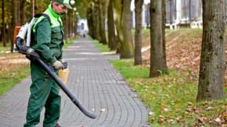 A man in a green work uniform uses a leaf blower along a paved stone walkway. | Bambulla | Dreamstime.com
