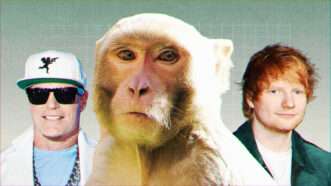 Vanilla Ice, Ed Sheeran, and a monkey on a green ombre grid background | Illustration: Lex Villena; Admedia, Inc/Brent Perniac/AdMedia/Sipa USA/Newscom, imageSPACE/ImageSpace/Sipa USA/Newscom