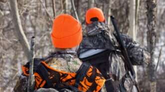 Two hunters, seen from behind, walk through the woods in orange and camo. | Parfansedgars | Dreamstime.com 