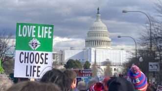 March for Life protestors