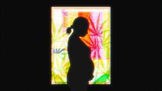 An outline of a pregnant woman stands in front of a multi colored rectangle with marijuana leaves outlined that is framed by black edges | Illustration: Lex Villena; Lex Villena; Ilyakalinin