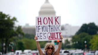 Protestor at US Capitol | BONNIE CASH/UPI/Newscom