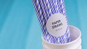 Paper straws contain higher concentrations of potentially harmful PFAS | Richardjohnsonuk/Dreamstime.com