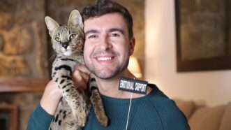 A man holds a cat in one hand a sign that says emotional support in the other | Alberto Jorrin Rodriguez/Dreamstime.com